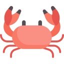 CRAB