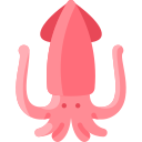 SQUID