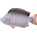 TILAPIA