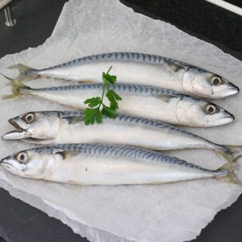 DAF-Frozen-Whole-Mackerel-1kg