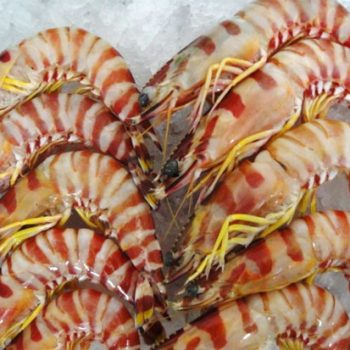 FROZEN FLOWER SHRIMPS